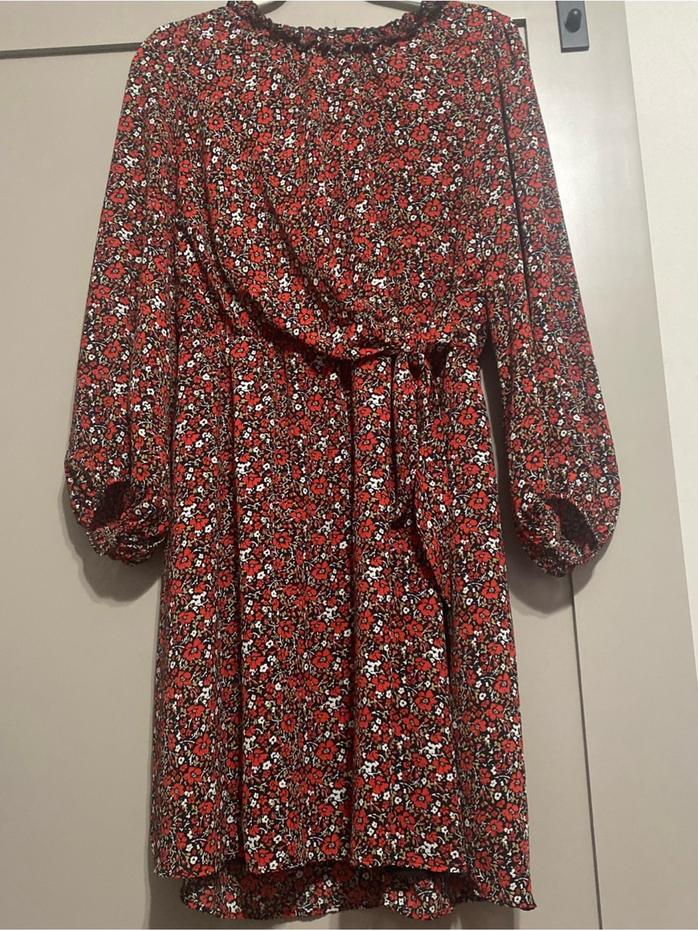 Banana Republic Red Floral Mini Dress with Self-Tie Waist